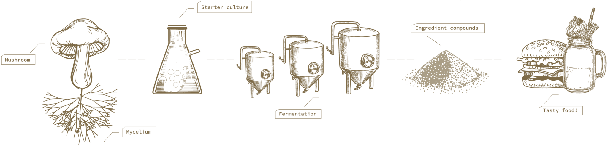 what 2 products come out of fermentation